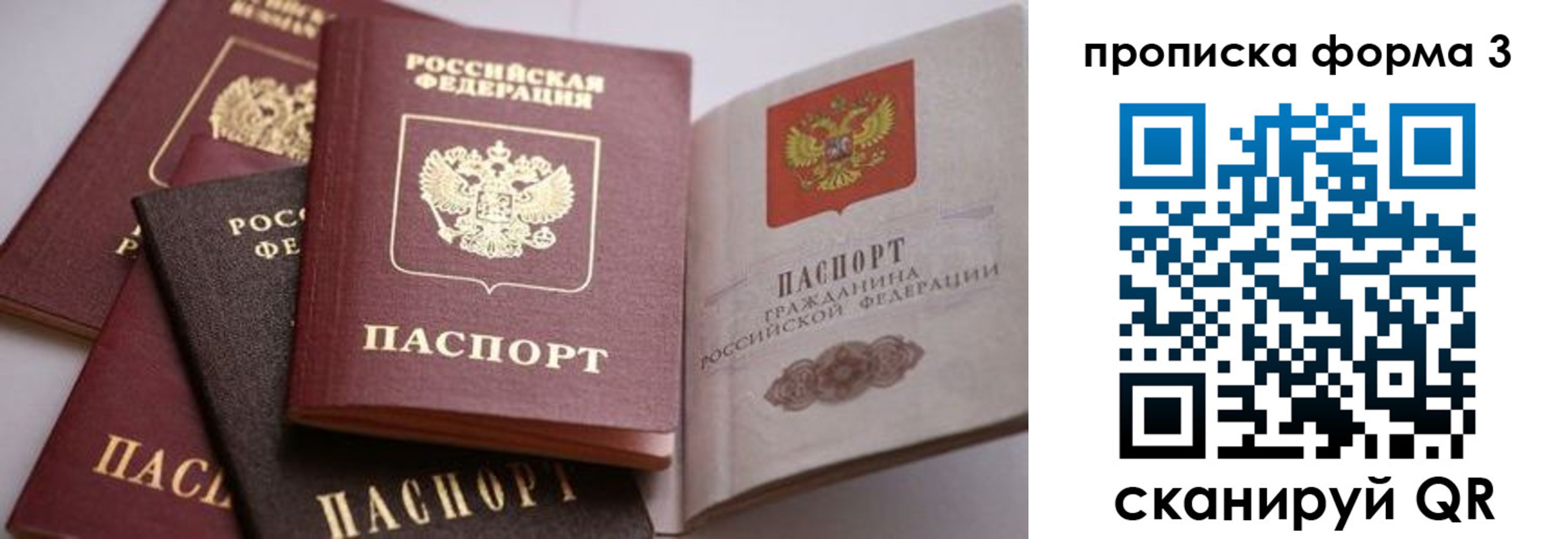 прописка для школы в Почепе